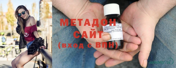 индика Алзамай