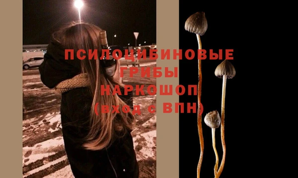 индика Алзамай