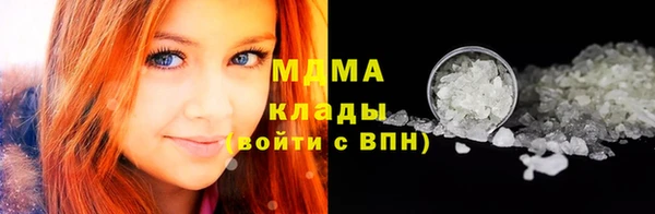 индика Алзамай