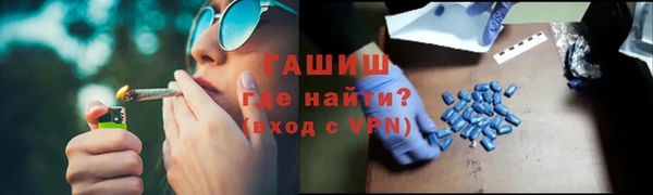 индика Алзамай