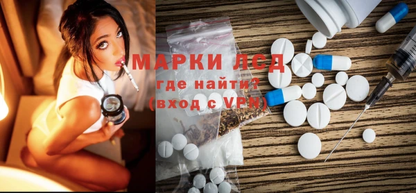 индика Алзамай