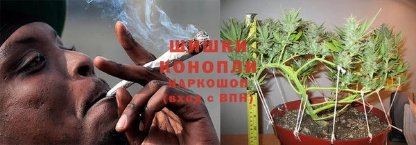 индика Алзамай