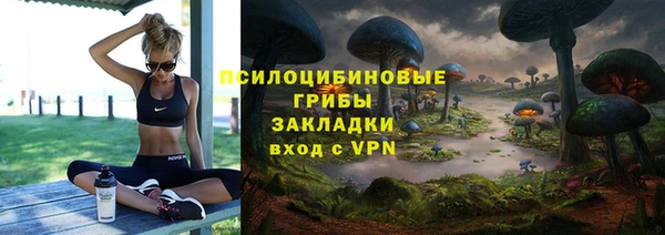 индика Алзамай
