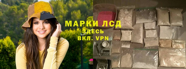 индика Алзамай