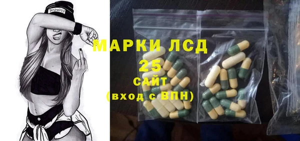 индика Алзамай