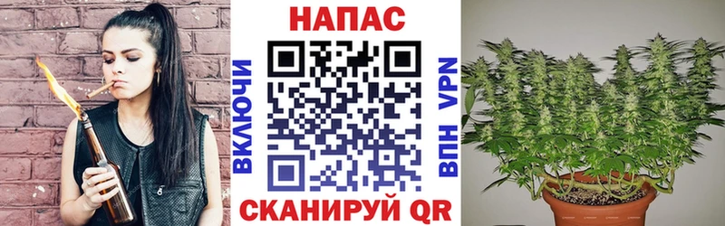 blacksprut как войти  Тверь  Канабис тримм 