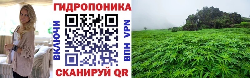 МАРИХУАНА SATIVA & INDICA Тверь